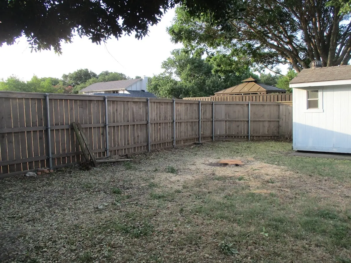 Cleared yard after professional tree removal in Scranton
